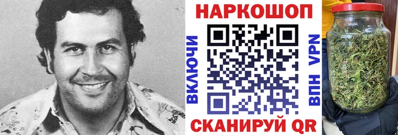 Что такое Каменногорск Бошки Шишки  Alpha-PVP  ГАШ 