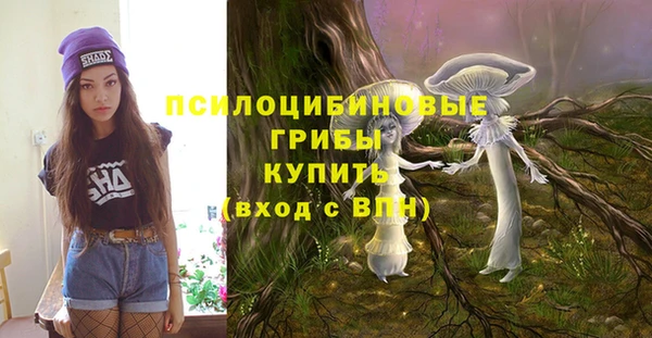 эйфоретик Майский