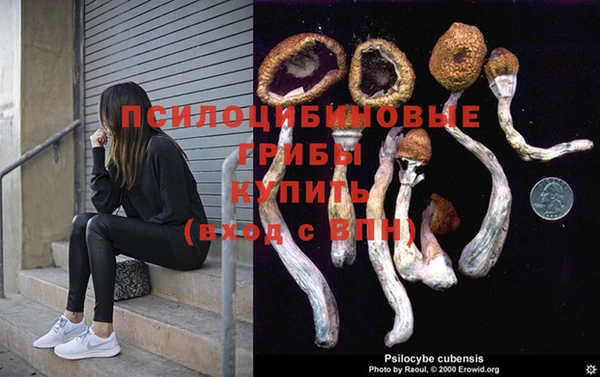 гашик Магадан