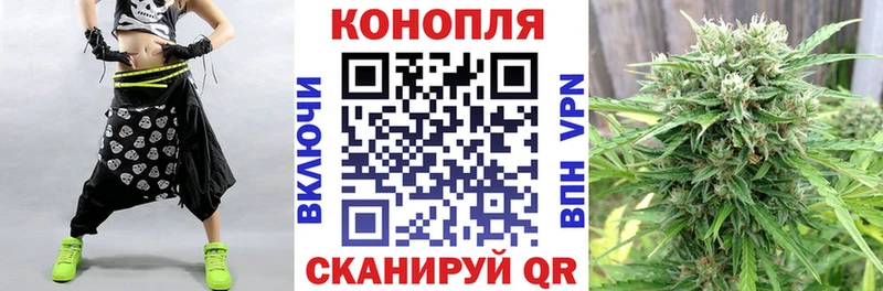 Бошки марихуана Amnesia Каменногорск